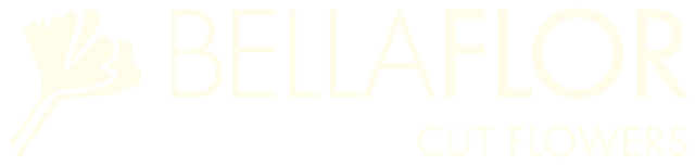 BellaFlor Group